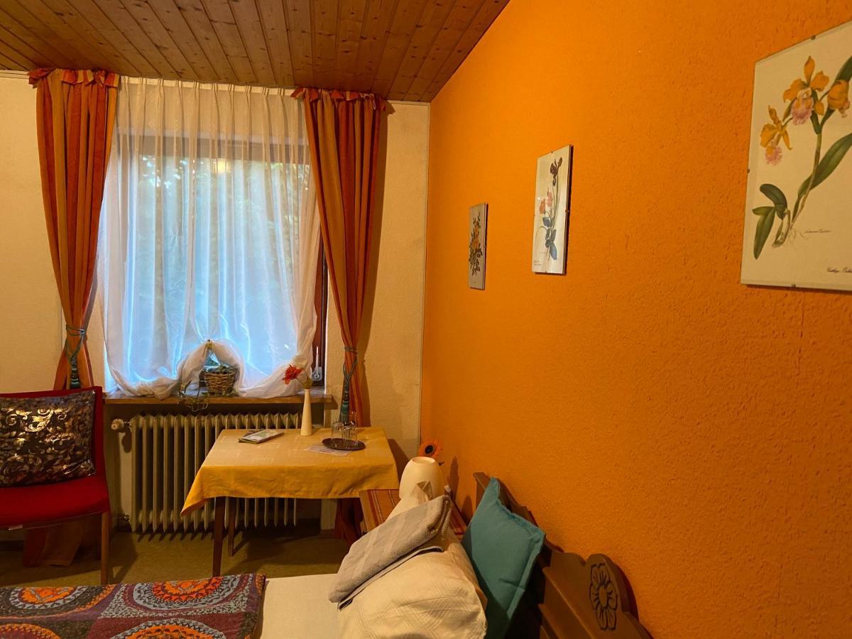 Pension Waldblick Spiegelau Exteriör bild