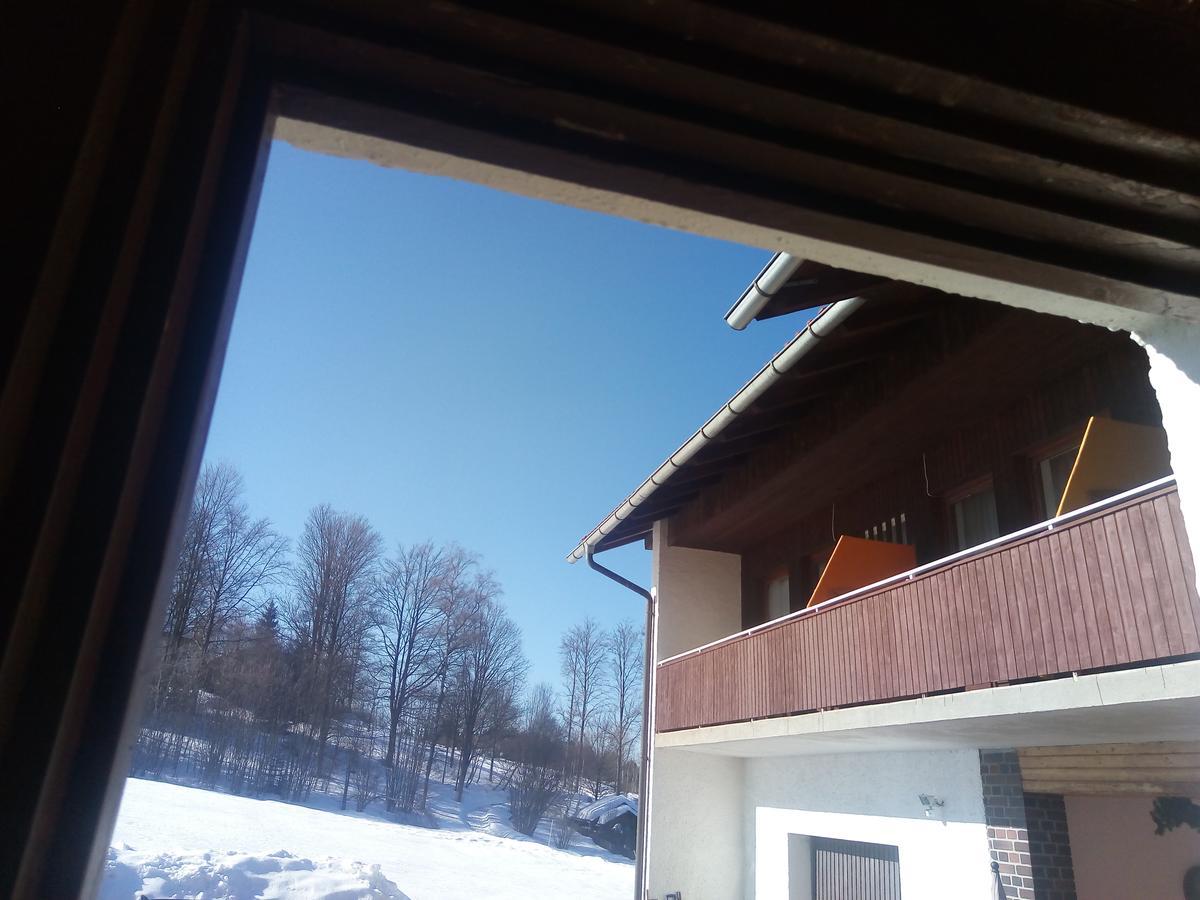 Pension Waldblick Spiegelau Exteriör bild