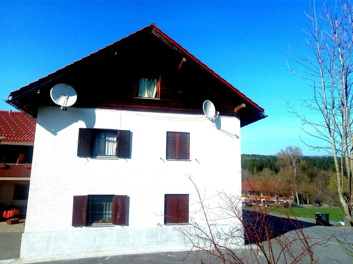 Pension Waldblick Spiegelau Exteriör bild
